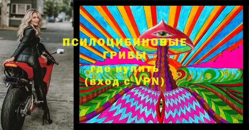 Галлюциногенные грибы MAGIC MUSHROOMS  Берёзовка 